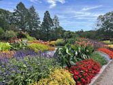 Minnesota Landscape Arboretum