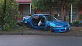 Two people escape serious injury after out-of-control car takes out tree