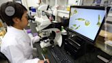 Japan’s scientists demand more money for basic science