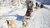 Dog Sled Race Returns to Camp Hale After 23 Years