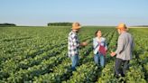 US Farmers Opt for Soy to Limit Losses as All Crop Prices Slump