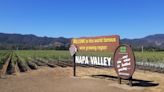 Famous Napa Valley sign may be moved due to safety concerns