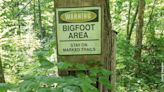 Washington State Fifth Graders Secure Sasquatch Protection Again | NewsRadio 1110 KFAB | Coast to Coast AM with George Noory