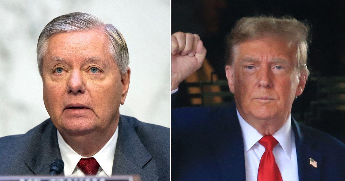 'Worse Defense Ever': Lindsey Graham Mocked for Defending Donald Trump and Comparing Him to Tiger Woods and Arnold Schwarzenegger