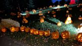 Fall fun guide: Here are some local seasonal activities to enjoy