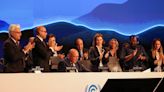 When is Cop28 and what does it stand for?