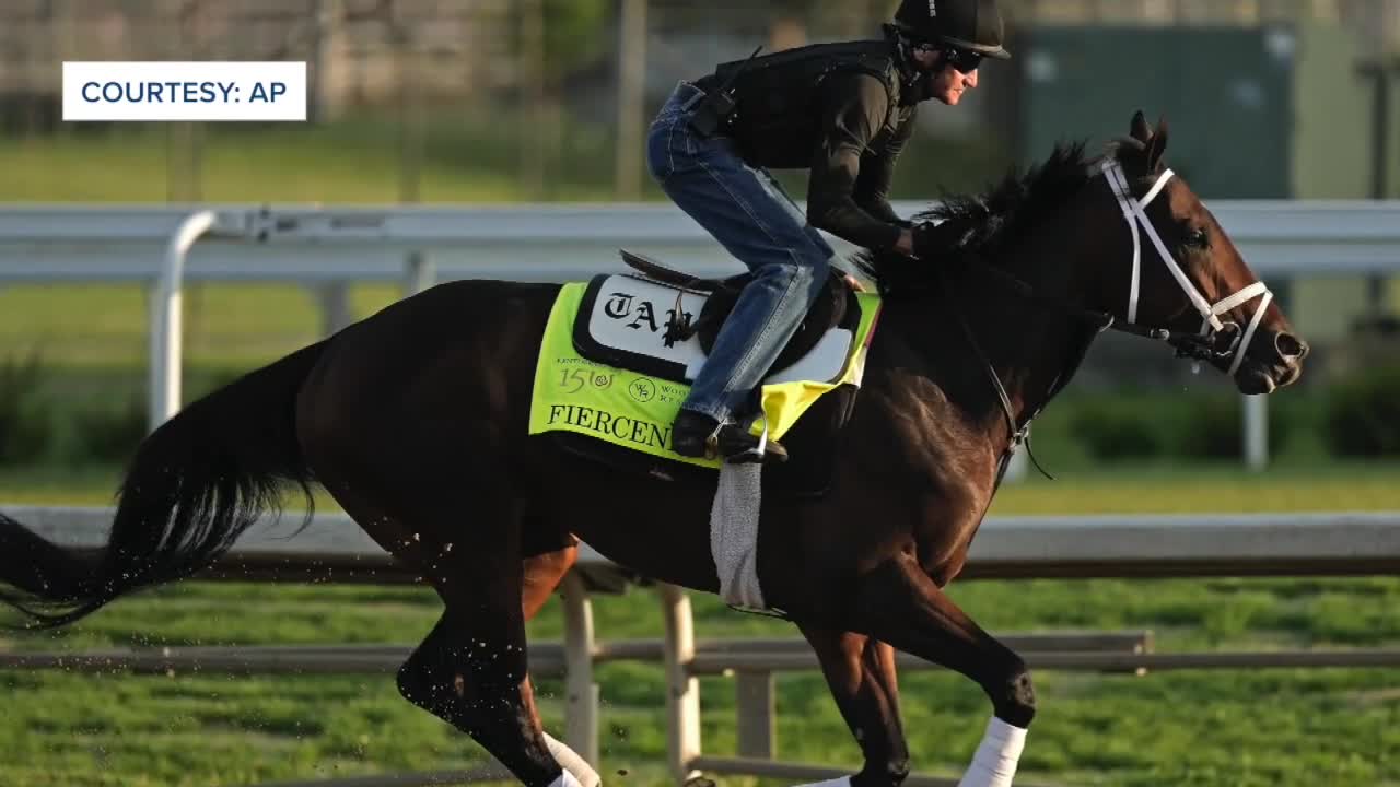 Kentucky Derby horse Fierceness trains at Palm Beach Downs