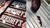 Woman discovers ‘dead mouse’ in Hershey’s chocolate syrup; company responds to viral post