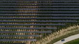 Hops for beer flourish under solar panels. They're not the only crop thriving in the shade.