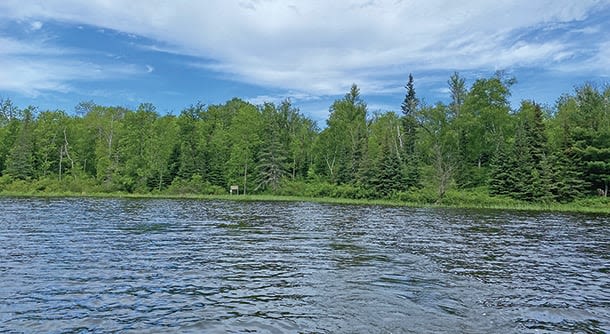 Minnesota's Sportsmen for the Boundary Waters adopts Vermilion’s Pine Island WMA - Outdoor News