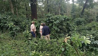 36 acres of forest encroachment cleared in Koppa