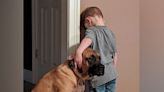 Dog joins 3-year-old during timeout in sweetest viral photo