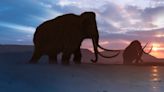 Scientists Reconstructed a 52,000-Year-Old Woolly Mammoth’s DNA. Resurrection May Be Next.