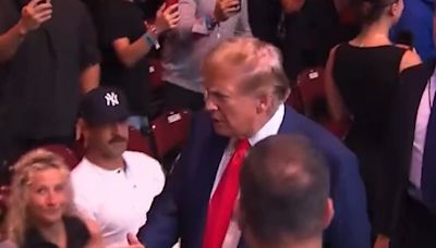 Watch as Aaron Rodgers ignores Donald Trump at UFC 302