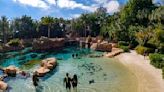 Discovery Cove offering exclusive early Black Friday deals just in time for the holidays