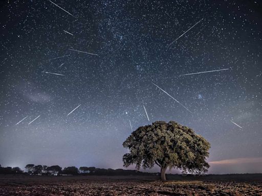 The Delta Aquarids Peak Soon—Here's How to See the Shooting Stars With the Naked Eye