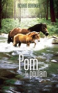 Pom le poulain