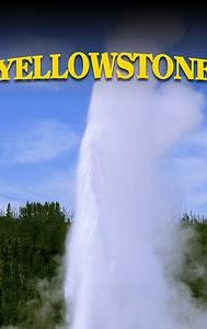 Yellowstone