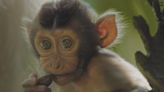 Mammals battle for life in new David Attenborough series