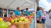 Find out how to enter the Apple Recipe Contest for the N.C. Apple Festival