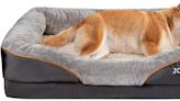 Dormirá como un rey: la cama que tu perro necesita que no se deforma y protege el cuello de tu mascota