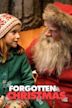 Forgotten Christmas