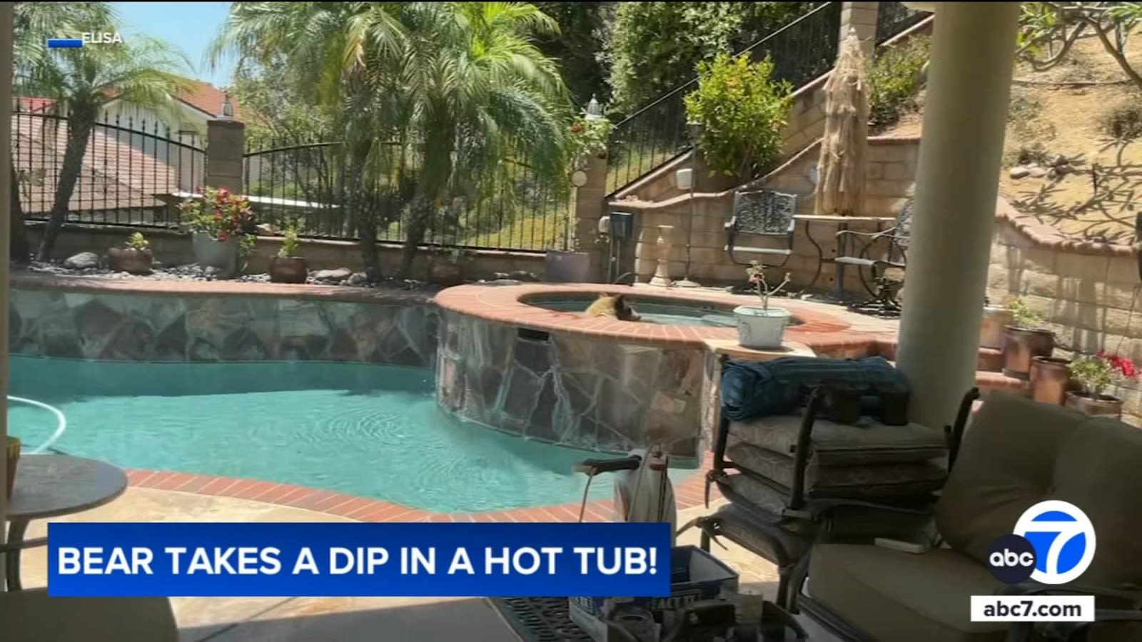 Bear spotted cooling off in Duarte home's backyard hot tub