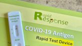 New Brunswick mulls future of COVID-19 rapid tests