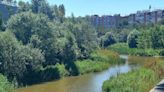 Las luces que Almeida quiere instalar en el Manzanares podrían provocar la desaparición de buena parte de la fauna del río