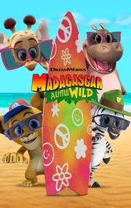 Madagascar: A Little Wild