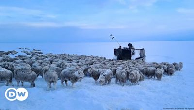 Explained: Extreme cold in Argentina’s Patagonia region – DW – 07/22/2024