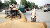 Pakistan: Shehbaz Sharif Govt Imposes Ban On Wheat Import, Flour Export