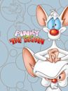 Pinky and the Brain