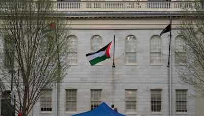 Encampment Protesters Briefly Raise 3 Palestinian Flags Over Harvard Yard | News | The Harvard Crimson