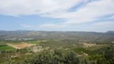 Convertir un incendio en un “bosque cortafuegos”: la restauración valenciana que se prepara para el próximo siniestro