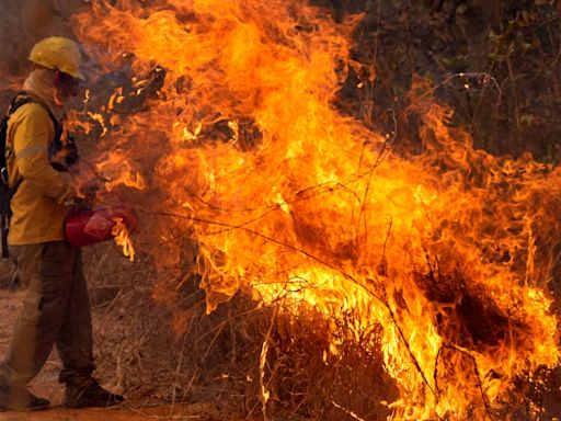 Amid the worst drought in Brazil history, wildfires rage and the Amazon falls to a record low level