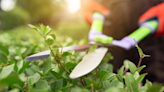 Gardening jobs for May: 10 tasks to tick off before summer arrives