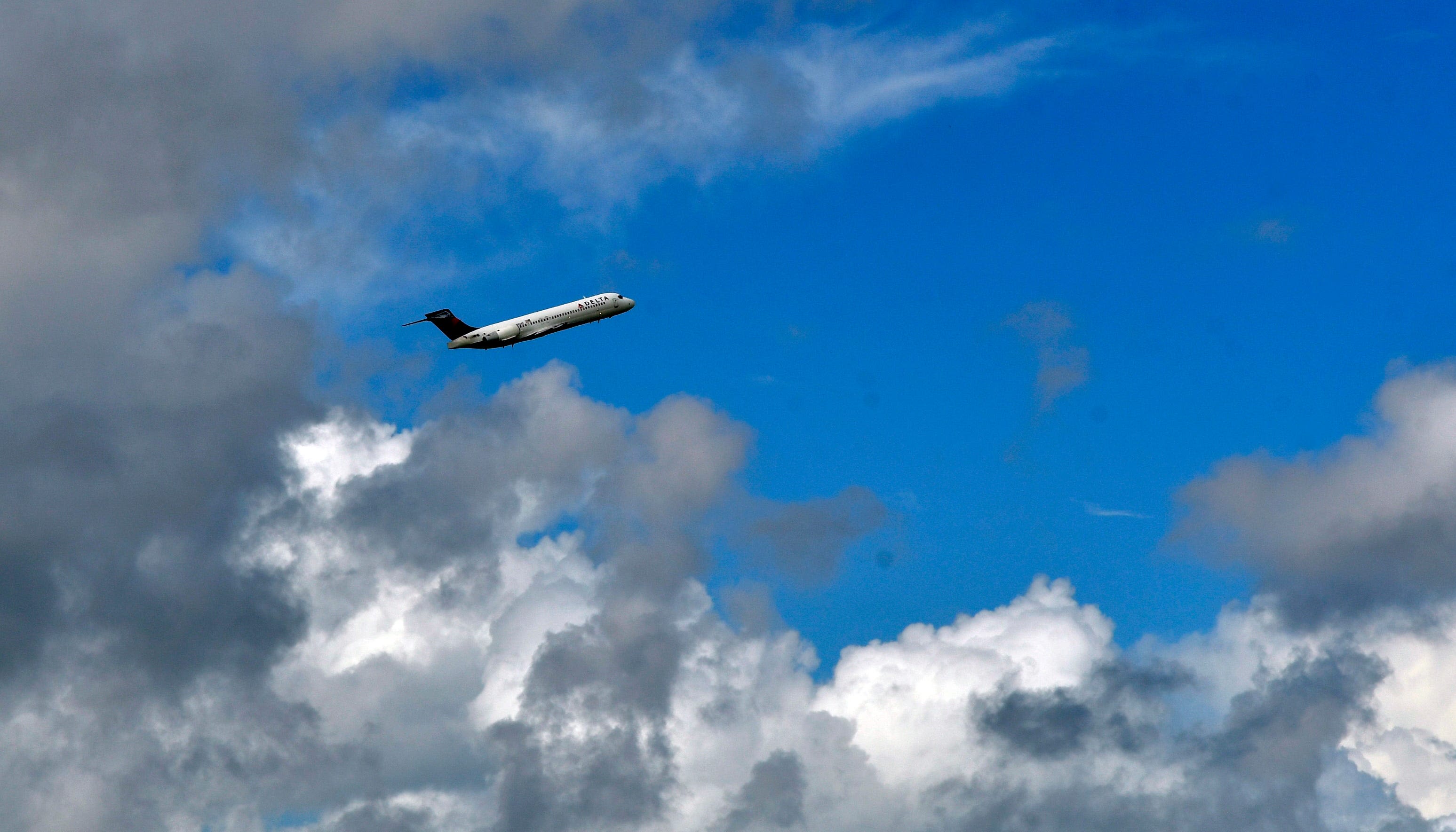 Florida airports are reporting delays after Microsoft outage. How to check your flight