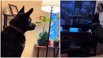 La instintiva reacción de un perro al ver a dos niños en una película en peligro