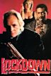 Lockdown (1990 film)