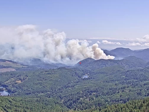 Crews battling human-caused wildfire near Sooke, B.C.