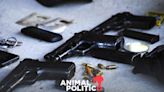 México ha decomisado 50 mil armas ingresadas ilegalmente desde EU en el sexenio: AMLO