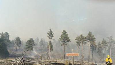 Pilot Killed in Montana Firefighting Plane Crash Identified as Brazil Native - Flathead Beacon