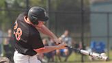 Brighton spreads out pitch counts in regional baseball win over Ann Arbor Pioneer