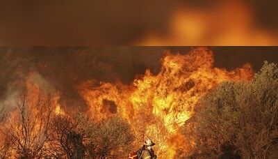 California wildfires burn 1 mn acre so far in 2024; heatwave raises risk