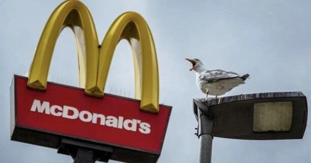 McDonald's Customers Outraged As Free Refills Come To An End.