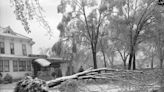 From the Darkroom: Ice and downed tree limbs — more than 50 years before the 2007 storm