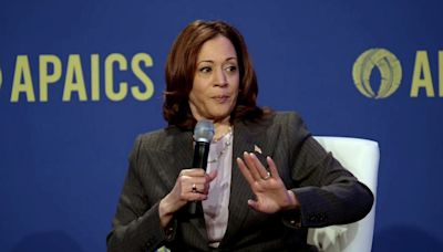 Kamala Harris tears into pro-Palestine protestors for burning US flag to condemn Netanyahu's visit: ‘It should never…’