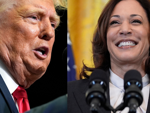 Is Donald Trump losing to Kamala Harris? Here is what these two polling surveys say - The Economic Times