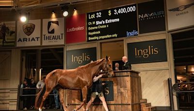 She's Extreme Tops Inglis Chairman's Sale